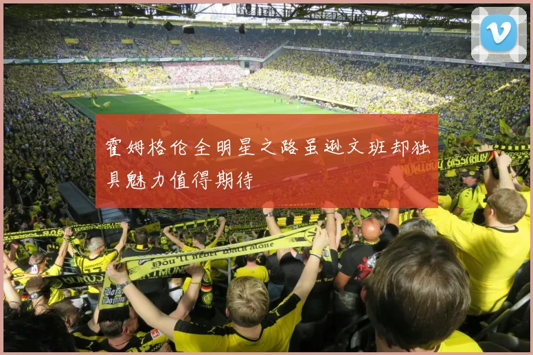 霍姆格伦全明星之路虽逊文班却独具魅力值得期待