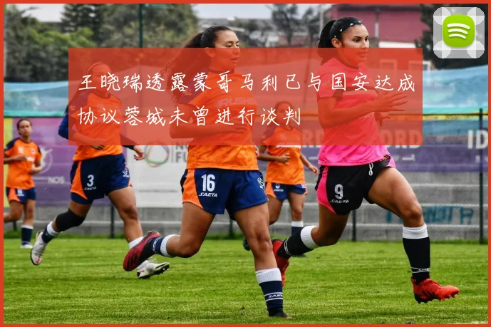 王晓瑞透露蒙哥马利已与国安达成协议蓉城未曾进行谈判